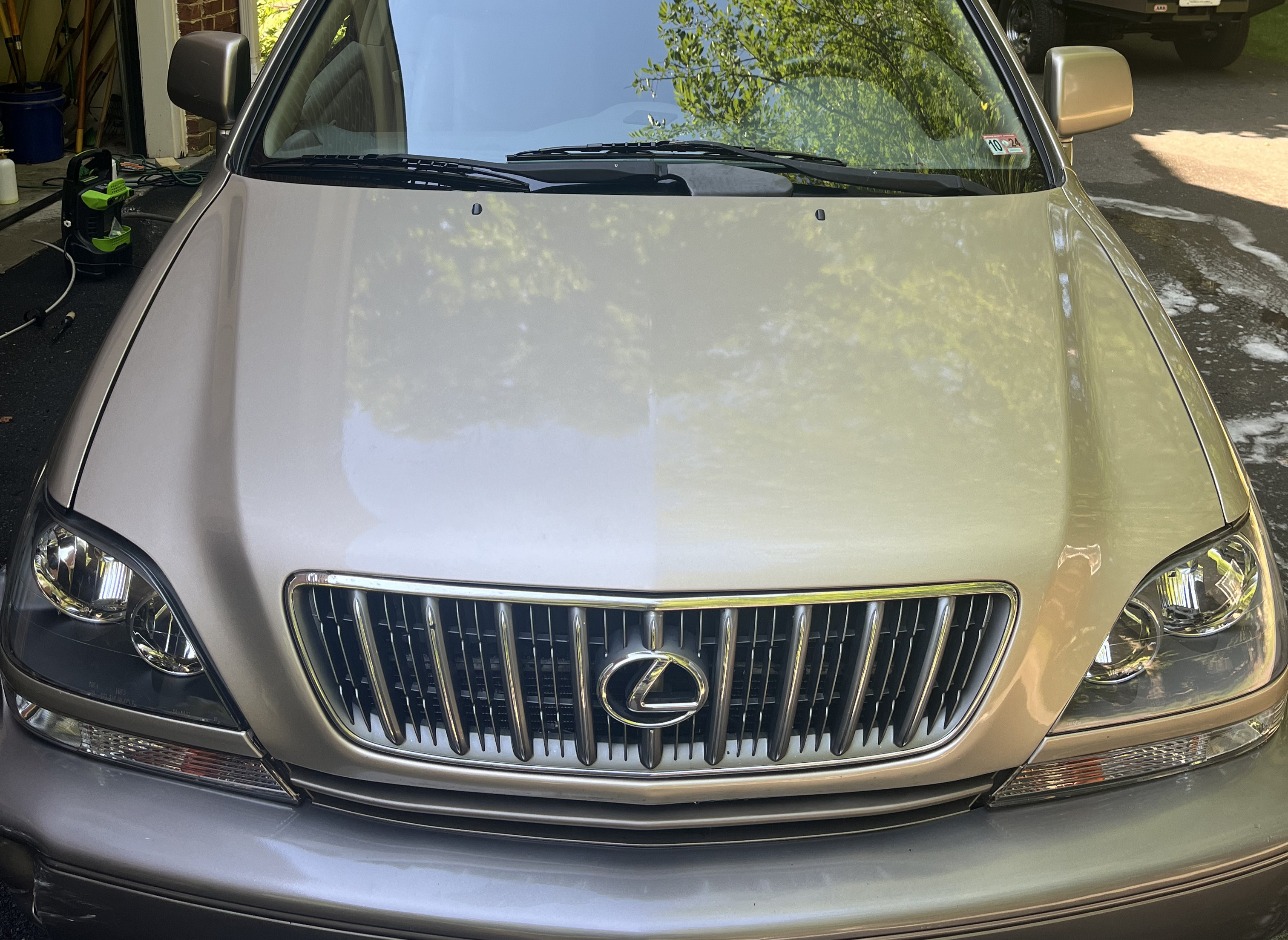 Spotless, glossy Lexus hood after detailing